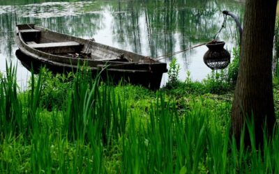 What if your property has a wetland?